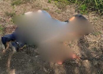 Encuentran muertos a cuatro trabajadores de CFE en la frontera entre Oaxaca y Veracruz