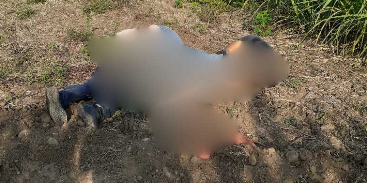 Encuentran muertos a cuatro trabajadores de CFE en la frontera entre Oaxaca y Veracruz