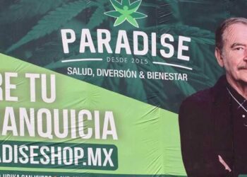 Cofepris alerta sobre venta ilegal de productos de CBD ligados a Paradise y Vicente Fox