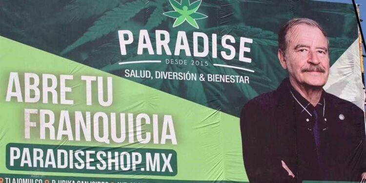 Cofepris alerta sobre venta ilegal de productos de CBD ligados a Paradise y Vicente Fox
