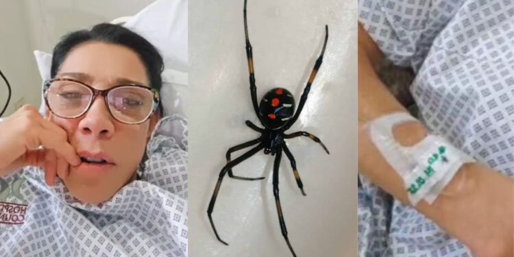 Cynthia Klitbo revela haber sido mordida por una peligrosa araña “viuda negra”