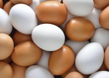 En EU, la gallina de los huevos de oro; un blanquillo a dólar, 20 pesos con 31 centavos