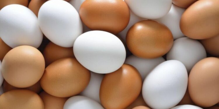 En EU, la gallina de los huevos de oro; un blanquillo a dólar, 20 pesos con 31 centavos