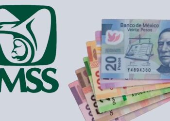 Se retrasa pago de la Pensión del IMSS, según el calendario oficial