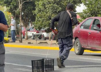 Persisten tiraderos clandestinos en Oaxaca pese a multas; indigentes, principales infractores