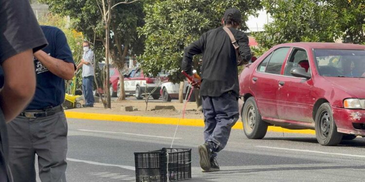 Persisten tiraderos clandestinos en Oaxaca pese a multas; indigentes, principales infractores
