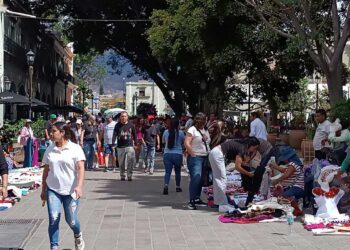 Tras acuerdo, Sección XXII y ayuntamiento depuran tianguis en apoyo a la gremial