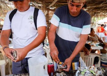 Tiene Huatulco su Feria del Ostión; Playa Boca Vieja, la sede del próximo año