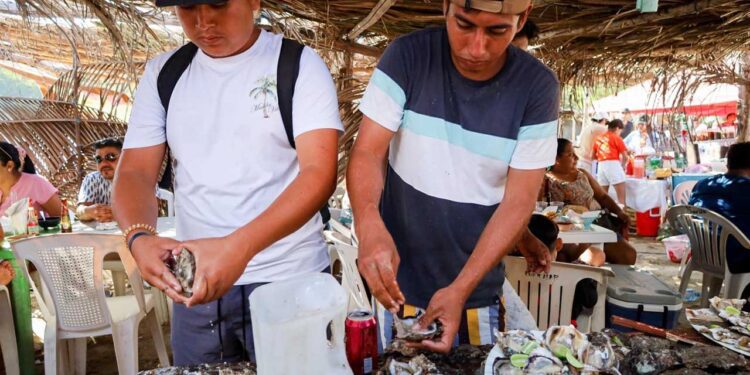 Tiene Huatulco su Feria del Ostión; Playa Boca Vieja, la sede del próximo año
