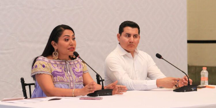Por alta demanda, sin placas Semovi para transporte privado