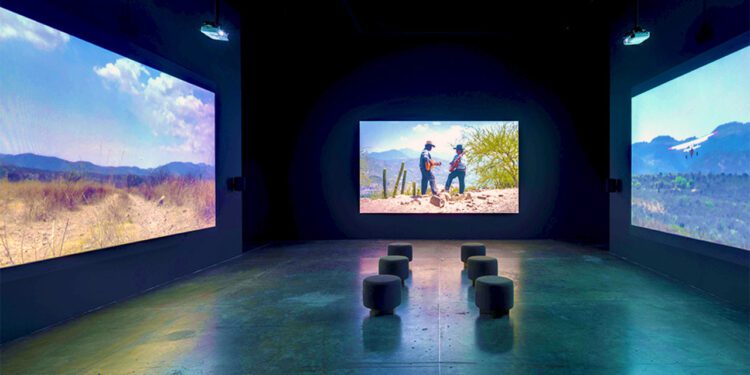 La instalación en tres canales de video titulada La trampa se presenta hasta el 6 de abril de 2025 dentro del ciclo expositivo “Genealogías y disidencias”.