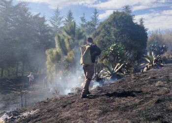 La región Mixteca cuenta con grandes extensiones de bosque, sin embargo, es blanco fácil para los incendios y desastres.