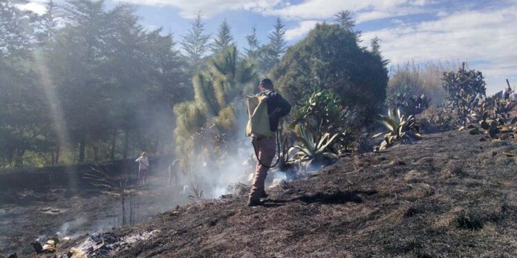 La región Mixteca cuenta con grandes extensiones de bosque, sin embargo, es blanco fácil para los incendios y desastres.