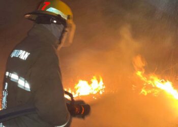 Los bomberos apagaron un incendio de pastizales sin que hubiera daños mayores.