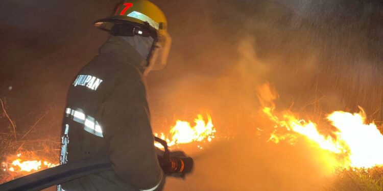 Los bomberos apagaron un incendio de pastizales sin que hubiera daños mayores.