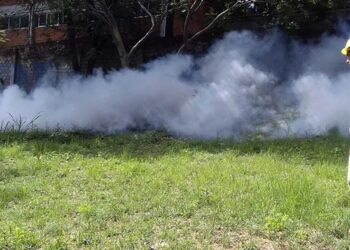 Foto: archivo // La institución reiteró el llamado a la población a mantener limpios patios, jardines y azoteas, eliminar criaderos potenciales.