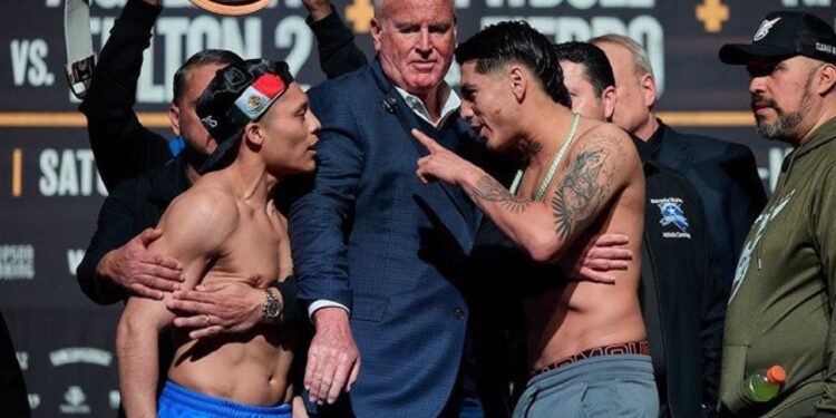 ¿A qué hora se “suelta” el ‘Pitbull’ Cruz, para pelear hoy con Ángel ‘Tashiro’ Fierro?