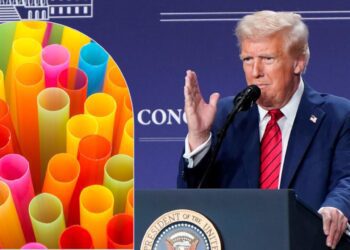 Le vale un “popote” el cambio climático a Donald Trump: ¿Ahora qué decreto firmó?