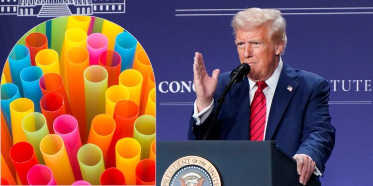 Le vale un “popote” el cambio climático a Donald Trump: ¿Ahora qué decreto firmó?