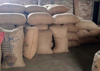 Se desconoce a cuanto se comprará el café oro en la región.