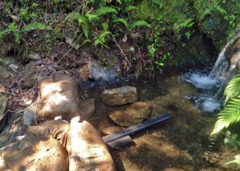 Se desconoce si los encargados de bombear el agua y abrir las válvulas estén trabajando.