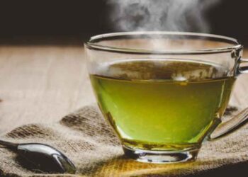 ¿Cuál es el té que ayuda a mejorar la memoria y la concentración?