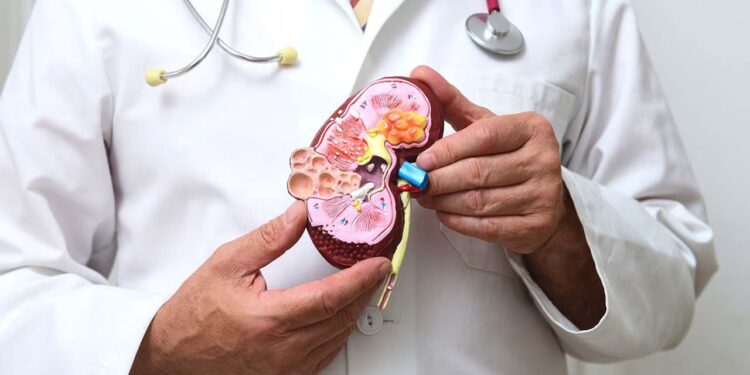 Foto: La falla renal, también llamada enfermedad renal terminal, significa que los riñones ya no son capaces de atender las necesidades de depurar de la sangre los desechos o el líquido extra”, que se pueden acumular y enfermar a la persona.