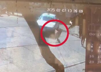 VIDEO  | ¡Crueldad Animal en Huajuapan! Taxista atropella a un perro y se va sin ayudarlo