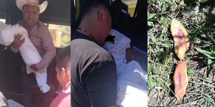 ¡Desgarrador! Tres niñas mueren al ingerir pan envenenado en San Cayetano, Chiapas