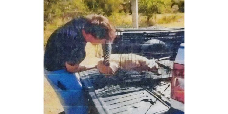 Balea a un perrito en la Mixteca y es vinculado a proceso
