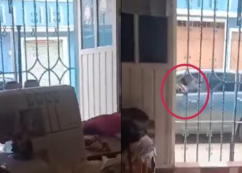 Ataque armado a local de corte y confección en San Martín Mexicápam