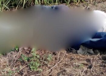 Hallan cuatro cadáveres en Acatlán de Pérez Figueroa, Oaxaca