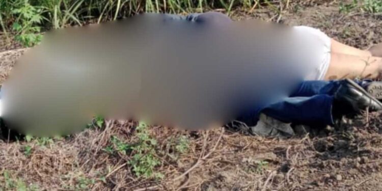 Hallan cuatro cadáveres en Acatlán de Pérez Figueroa, Oaxaca