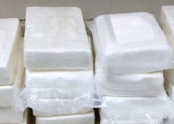 Embate al narco, decomisan más de 24 millones de dólares en cocaína