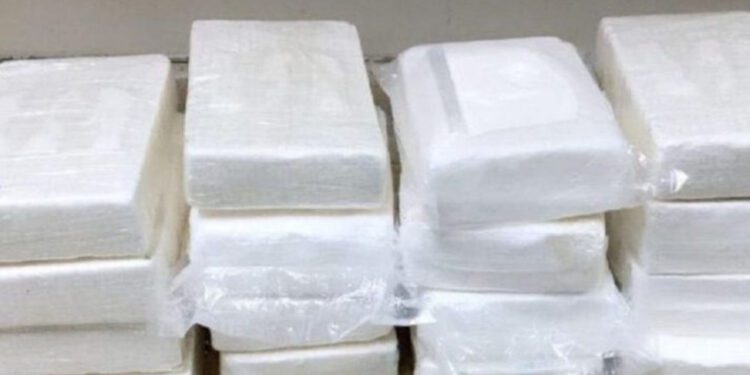 Embate al narco, decomisan más de 24 millones de dólares en cocaína
