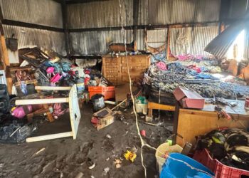 Alerta por incendio en terrenos comunales en Tlacolula de Matamoros