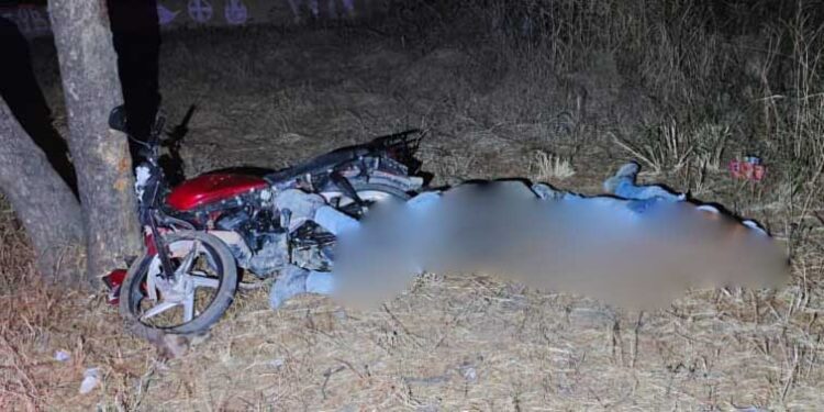 ¡Fatal colisión! Motociclista y acompañante fallecen al impactarse contra árbol