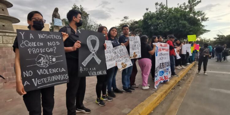 VIDEOS | Médicos veterinarios en Oaxaca exigen justicia tras asesinato de Héctor Hernández Cañas