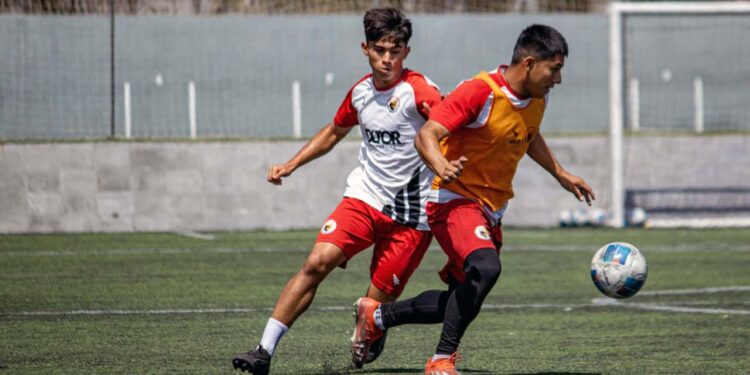Dragones se alista para su próximo juego, este fin de semana.