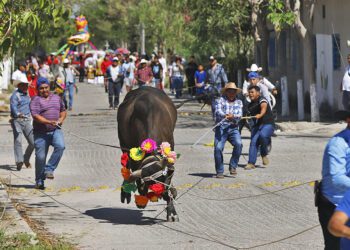El pasado fin de semana realizaron el sacrificio de toros en el centro de la población.