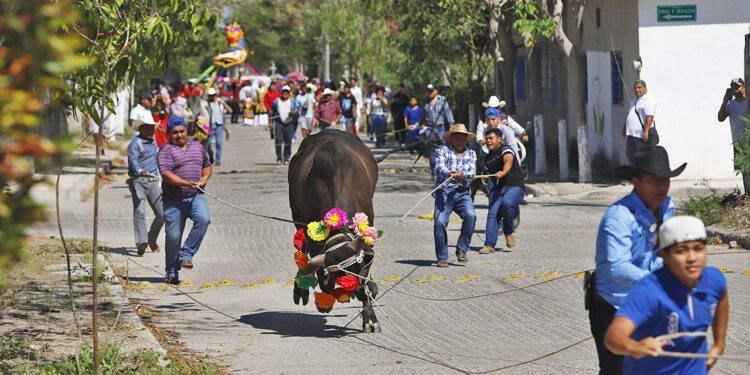 El pasado fin de semana realizaron el sacrificio de toros en el centro de la población.