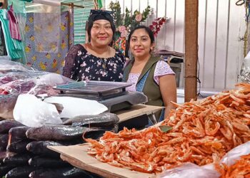 Fotos: Lisbeth Mejía Reyes // Las pescaderas Juquila y Belén esperan que los precios de los productos del mar continúen ascendiendo.