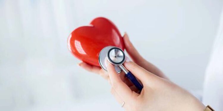 Foto: internet // “Las enfermedades cardiovasculares más comunes son en arterias coronarias y en arterias cerebrales, mejor conocidas como apoplejía, embolia o derrame cerebral, con alta prevalencia en mujeres. Otro problema es la estenosis aórtica, una afectación en válvulas que ocurre por degeneración”.