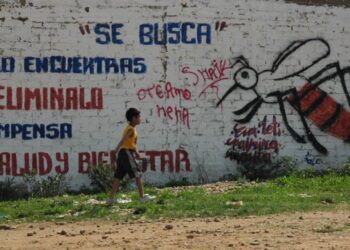 Foto: archivo // Ante esta enfermedad, las autoridades de salud insistieron en no bajar la guardia y evitar la acumulación de agua.