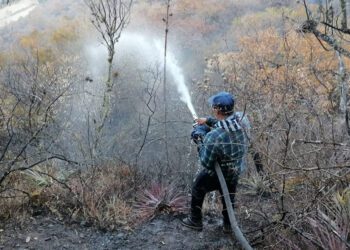 Oaxaca octavo lugar por superficie afectada por incendios en 2025