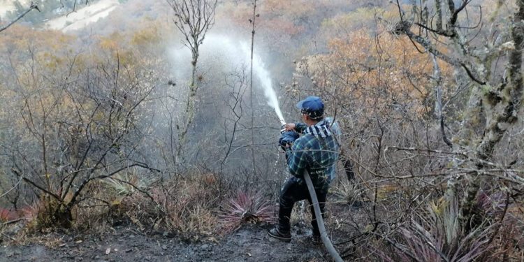 Oaxaca octavo lugar por superficie afectada por incendios en 2025