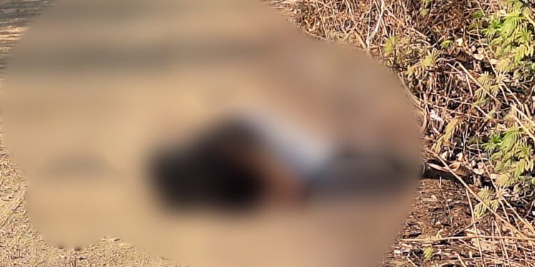 Hallan cadáver de mujer con signos de violencia en el Istmo de Tehuantepec