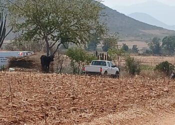 ¡Ejecutan con balazos en el rostro a un hombre en Miahuatlán de Porfirio Díaz!