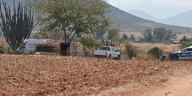 ¡Ejecutan con balazos en el rostro a un hombre en Miahuatlán de Porfirio Díaz!