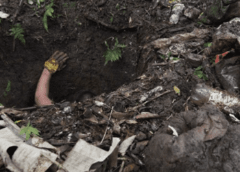 En Oaxaca, 50 fosas clandestinas en 15 años; 2019 ha sido el “año más negro”